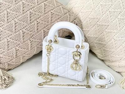 DIOR Handbags 401